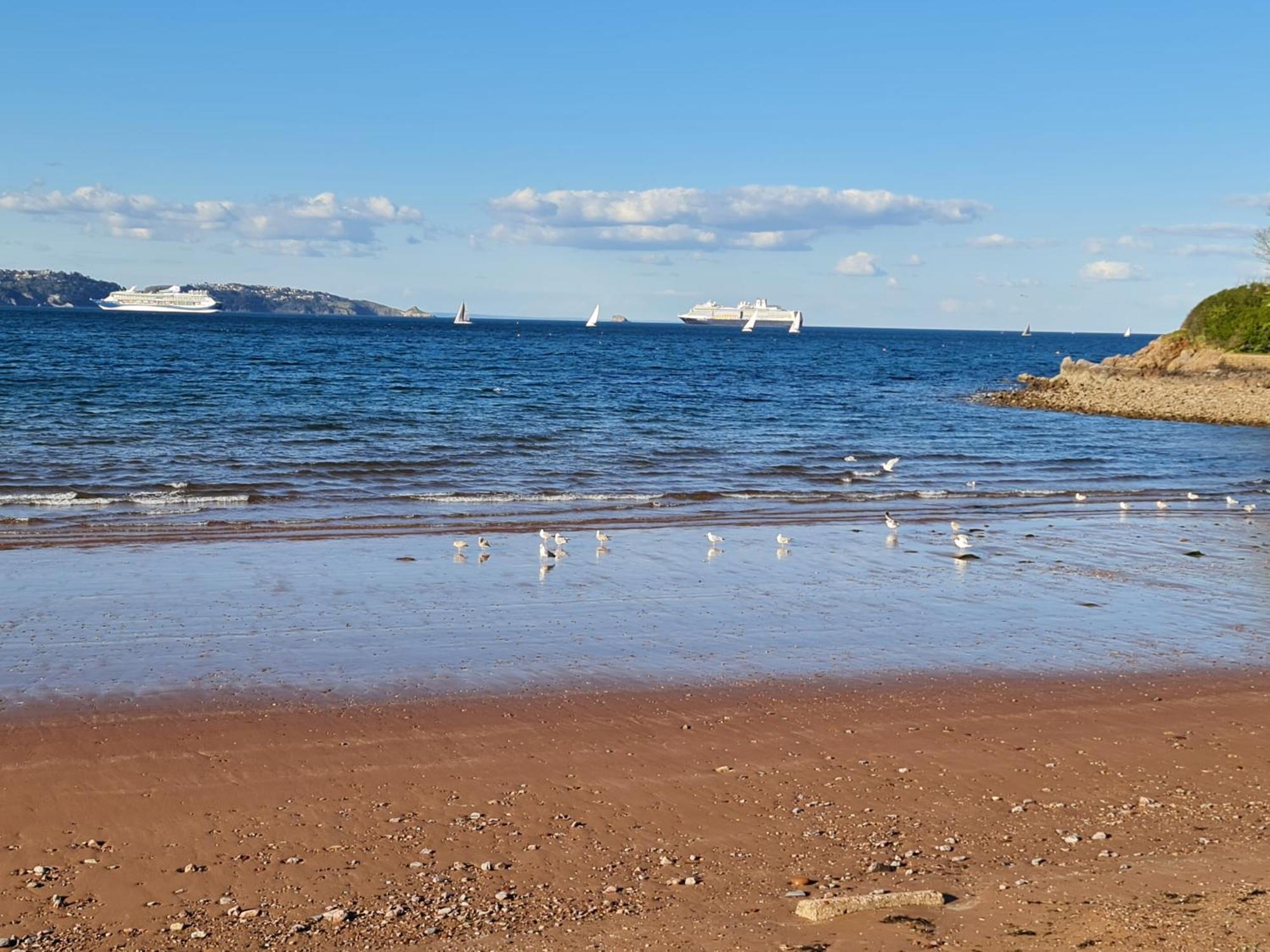 Seaspot Is A 1 Bed Annex Ground Floor Apartment At Stunning Broadsands Beach Nr Brixham! Churston Ferrers Eksteriør billede